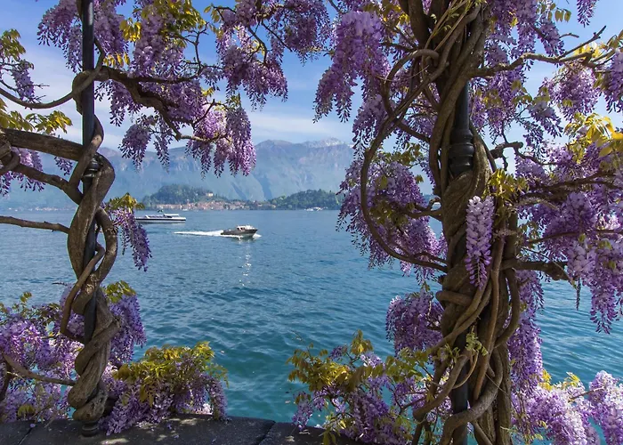 Felice Sul